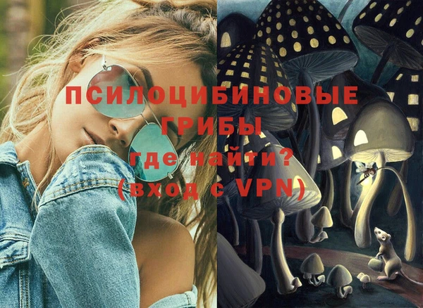 PSILOCYBIN Алзамай
