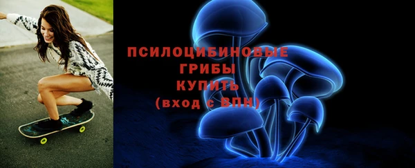 PSILOCYBIN Алзамай