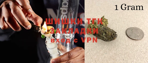 PSILOCYBIN Алзамай