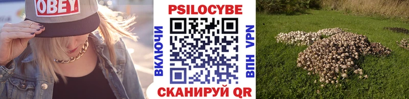 Галлюциногенные грибы мухоморы  OMG онион  Ейск 